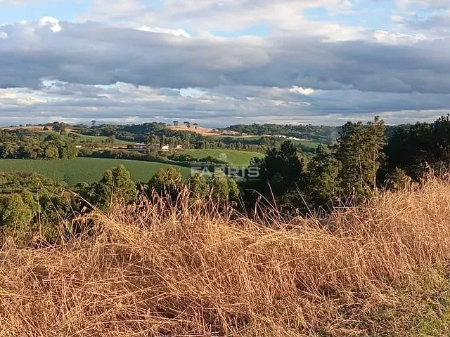 Terreno com 19997m², à venda, no bairro Balsa Nova em Balsa Nova