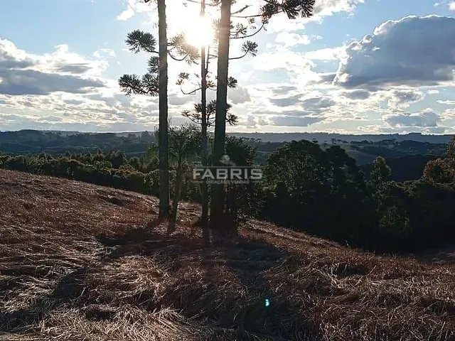 Terreno com 19997m², à venda, no bairro Balsa Nova em Balsa Nova