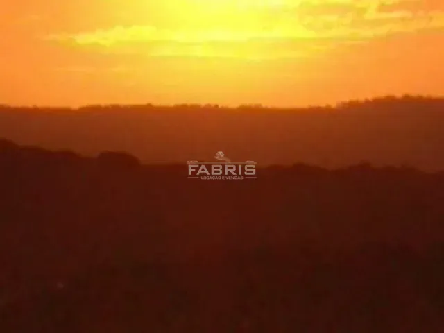 Terreno com 19997m², à venda, no bairro Balsa Nova em Balsa Nova
