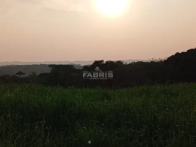 Terreno com 19997m², à venda, no bairro Balsa Nova em Balsa Nova