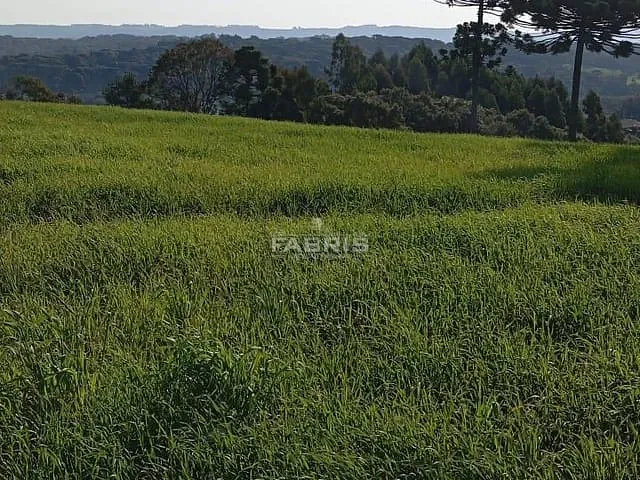 Terreno com 19997m², à venda, no bairro Balsa Nova em Balsa Nova