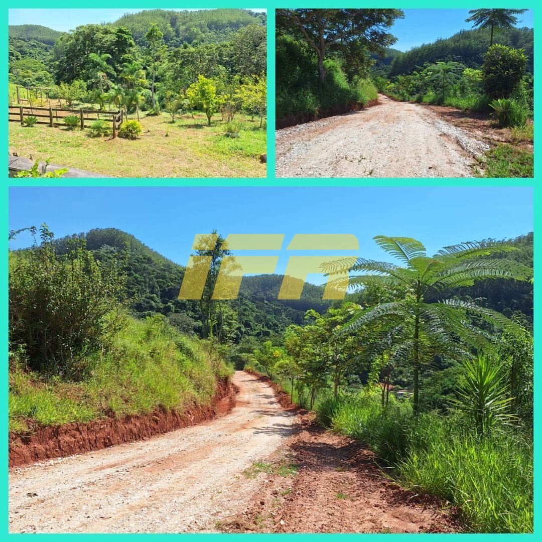 Sítio, 2 quartos, 8 hectares - Foto 23