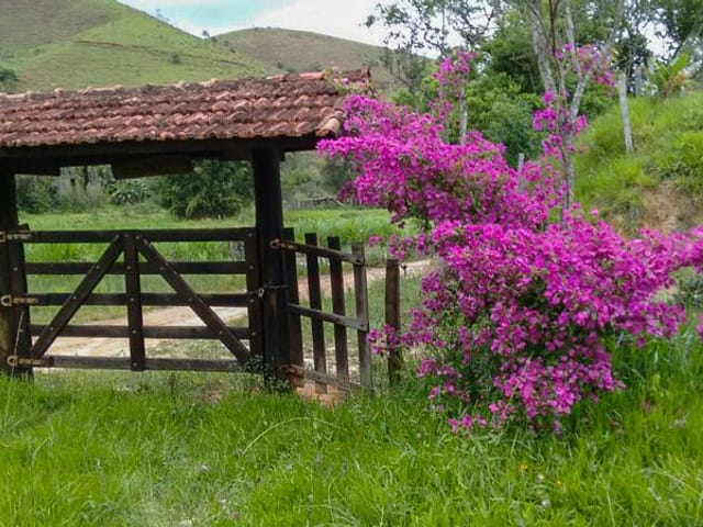 Foto do Chácara - Chácara rural à venda, Centro, Monteiro Lobato. | INDEPENDENCE NEGOCIOS IMOBILIARIOS LTDA