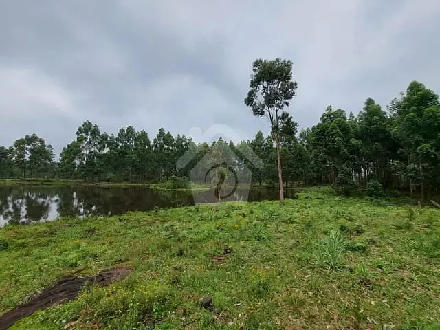 Chácara com 225000m², à venda, no bairro Interior em Salvador do Sul