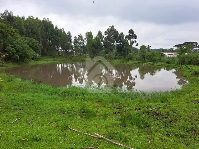 Chácara com 225000m², à venda, no bairro Interior em Salvador do Sul