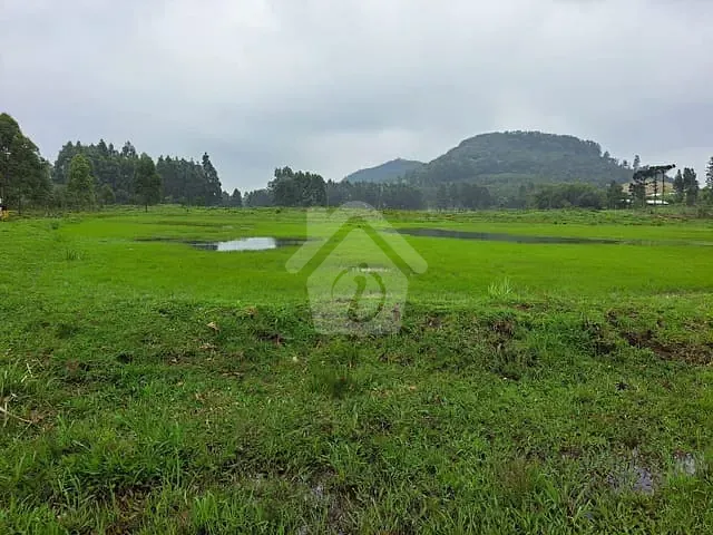 Chácara com 225000m², à venda, no bairro Interior em Salvador do Sul
