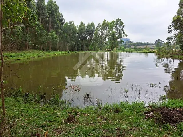 Chácara com 225000m², à venda, no bairro Interior em Salvador do Sul