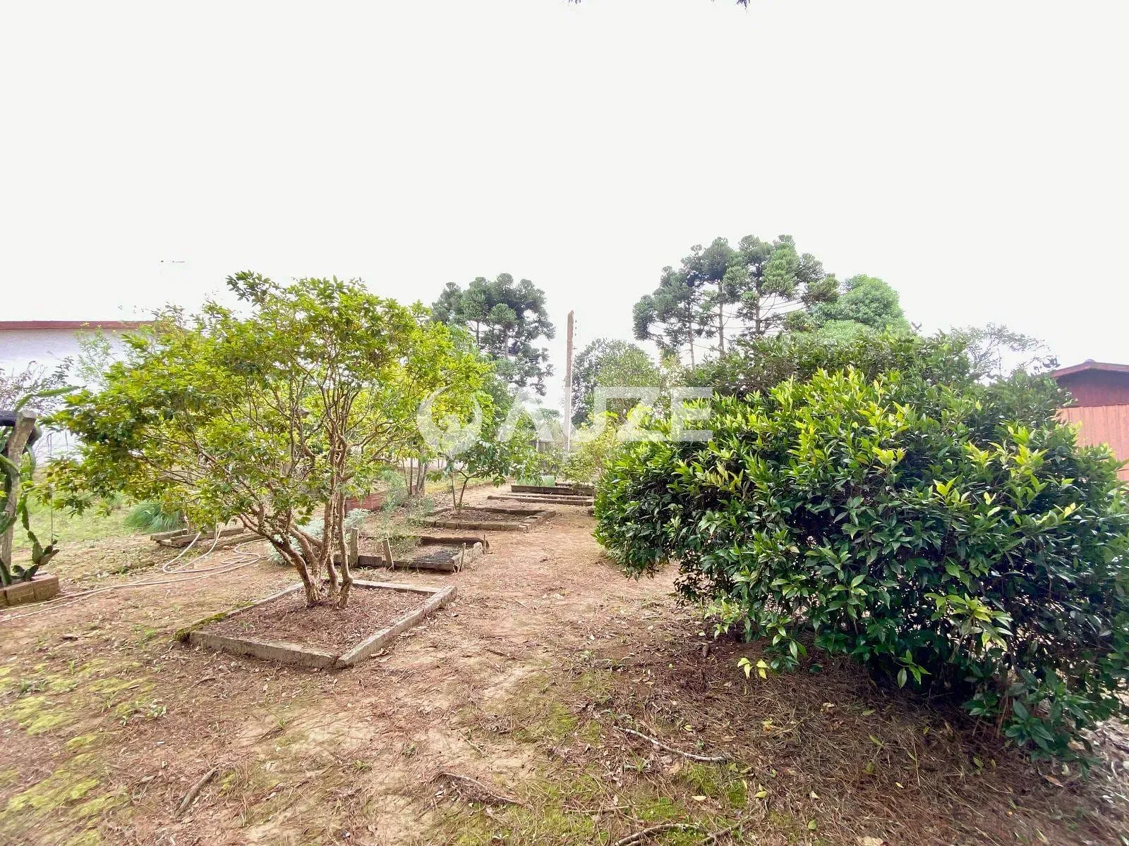 Sítio, 4 quartos, 2 hectares - Foto 62