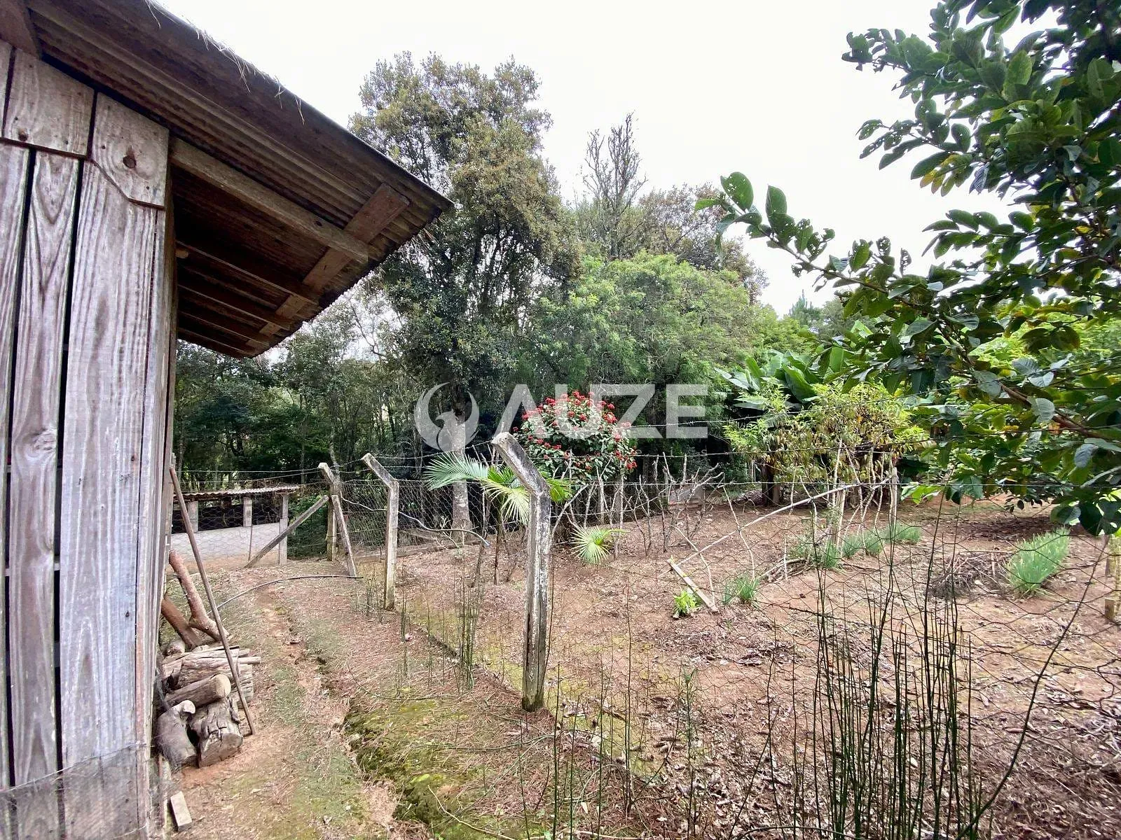 Sítio, 4 quartos, 2 hectares - Foto 61