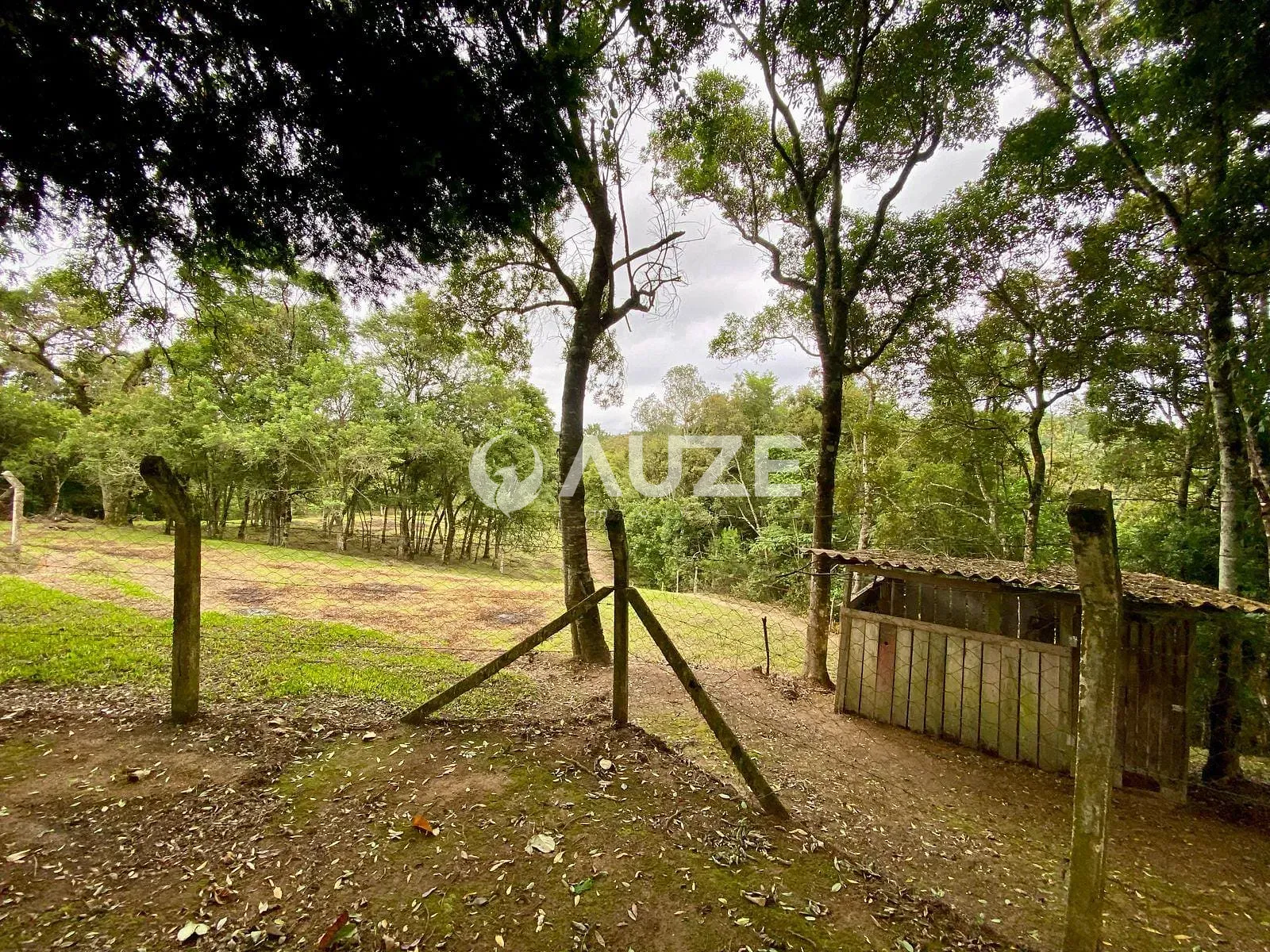 Sítio, 4 quartos, 2 hectares - Foto 64
