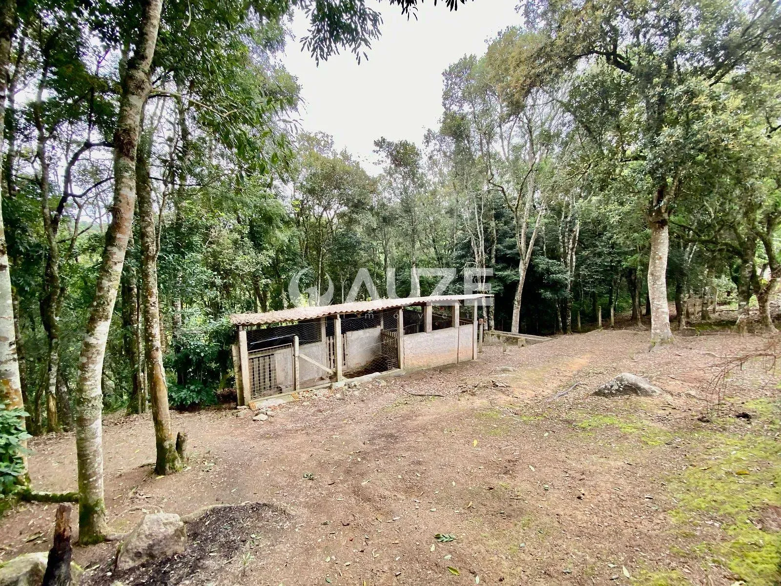 Sítio, 4 quartos, 2 hectares - Foto 65