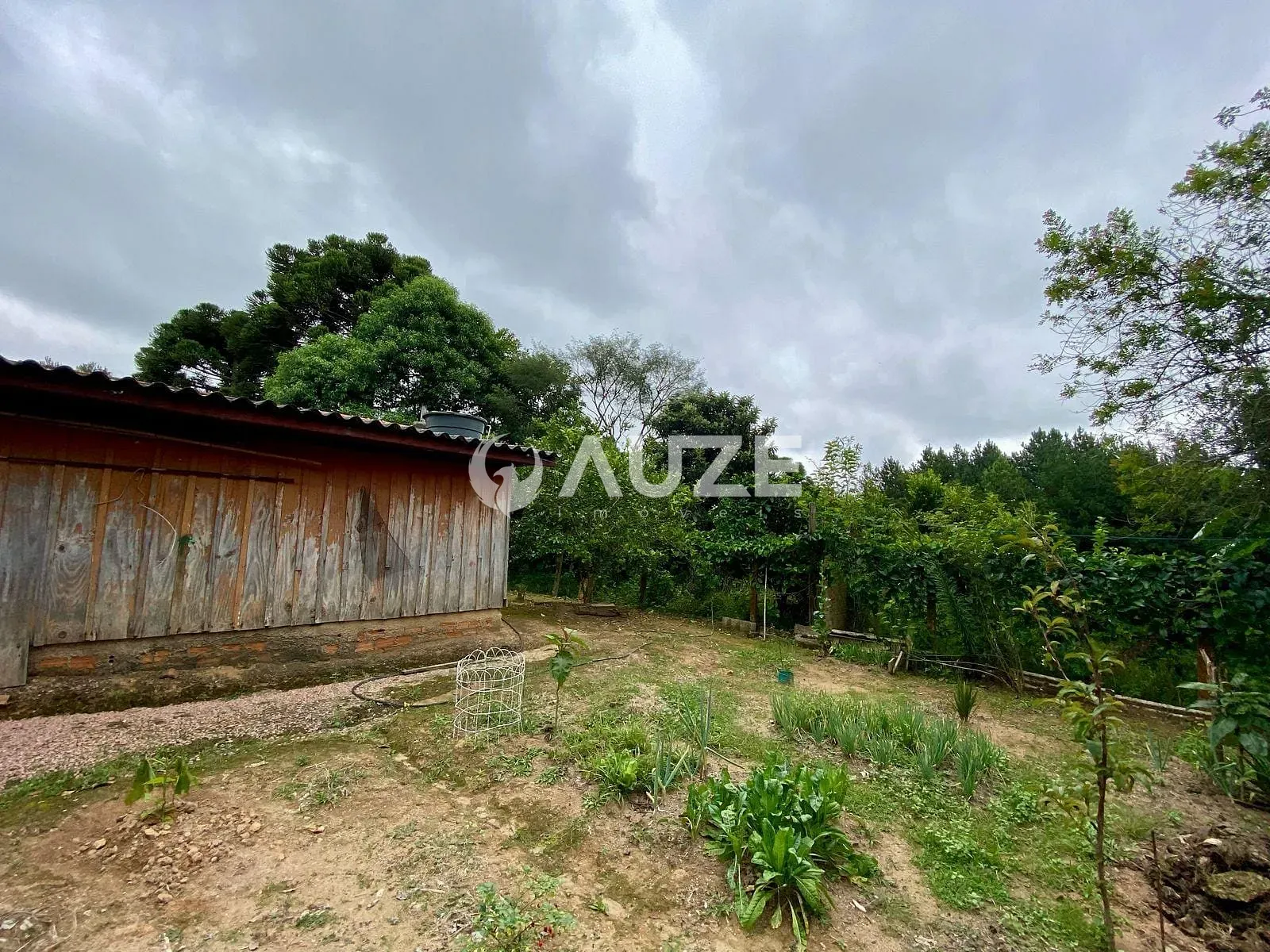 Sítio, 4 quartos, 2 hectares - Foto 63