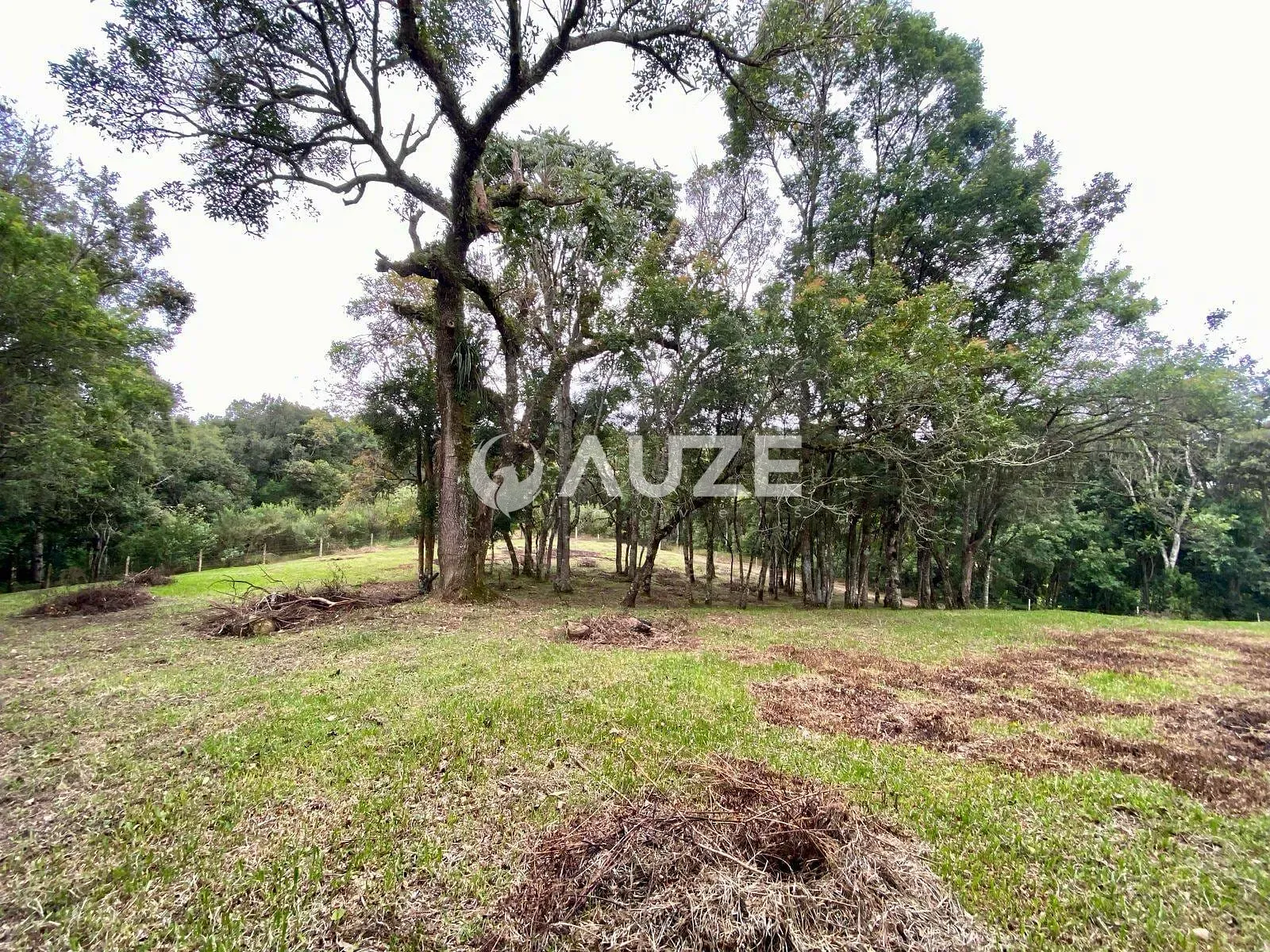 Sítio, 4 quartos, 2 hectares - Foto 67