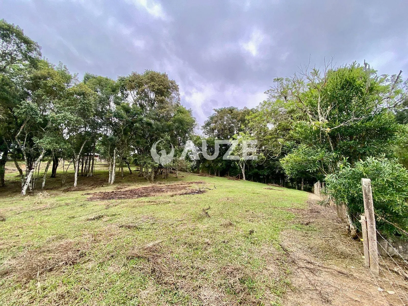 Sítio, 4 quartos, 2 hectares - Foto 66