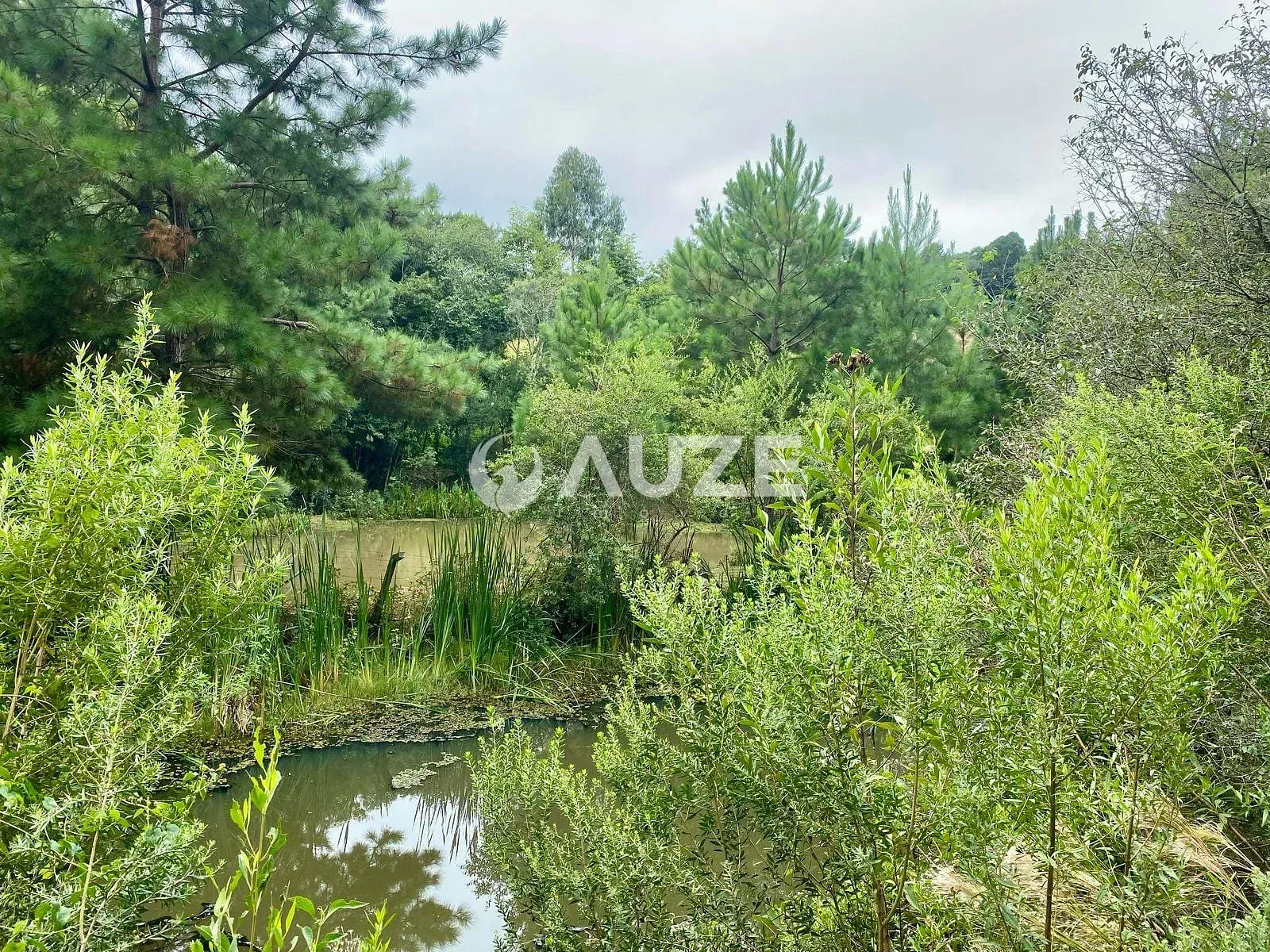 Sítio, 4 quartos, 2 hectares - Foto 72