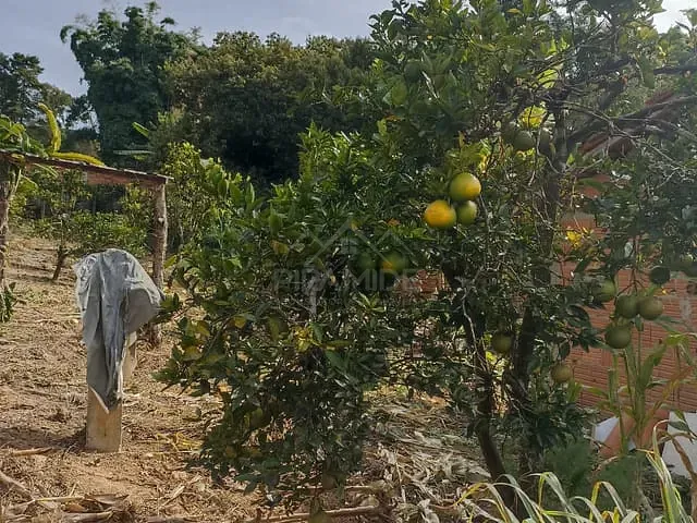 Chácara 3 quartos e 1 banheiro, à venda, no bairro Chácaras Poços de Caldas em Poços de Caldas