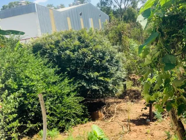 Chácara com 2033m² 3 quartos e 2 banheiros, à venda, no bairro Chácaras Califórnia em Contagem