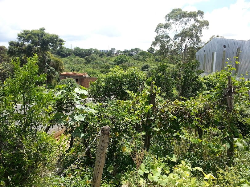 Chácara à venda, casa com 3 qtos, 1 suíte, sala, copa, cozinha, 2 varandas, terreno comercial - Chácaras Califórnia, Contagem, MG. miniatura 8