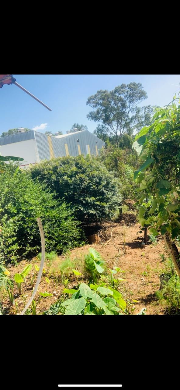 Chácara à venda, casa com 3 qtos, 1 suíte, sala, copa, cozinha, 2 varandas, terreno comercial - Chácaras Califórnia, Contagem, MG. miniatura 5