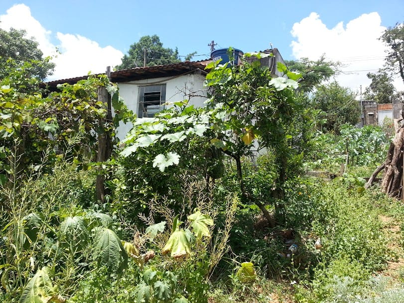 Chácara à venda, casa com 3 qtos, 1 suíte, sala, copa, cozinha, 2 varandas, terreno comercial - Chácaras Califórnia, Contagem, MG. miniatura 9
