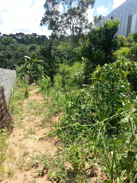 Chácara à venda, casa com 3 qtos, 1 suíte, sala, copa, cozinha, 2 varandas, terreno comercial - Chácaras Califórnia, Contagem, MG. miniatura 10