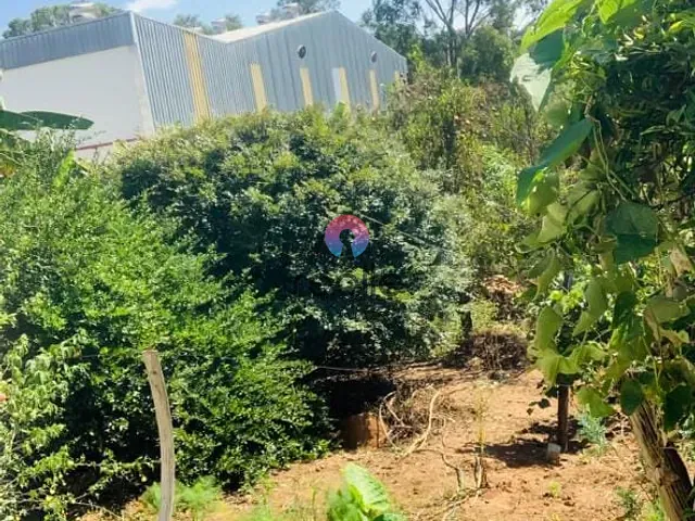 Chácara com 2033m² 3 quartos e 2 banheiros, à venda, no bairro Chácaras Califórnia em Contagem
