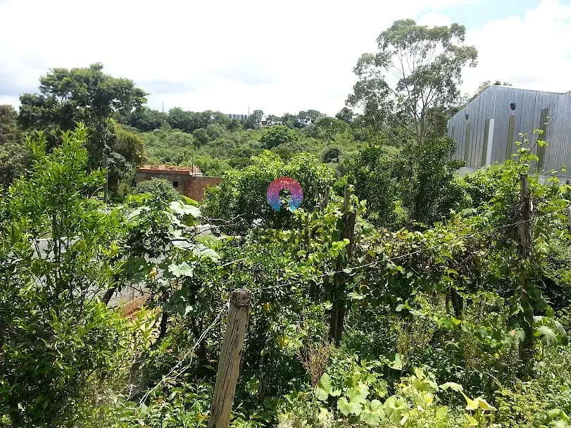 Chácara, 3 quartos, 2033 m² - Foto 8