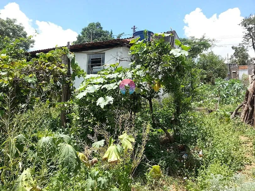 Chácara, 3 quartos, 2033 m² - Foto 9
