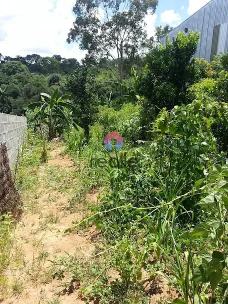 Chácara, 3 quartos, 2033 m² - Foto 10
