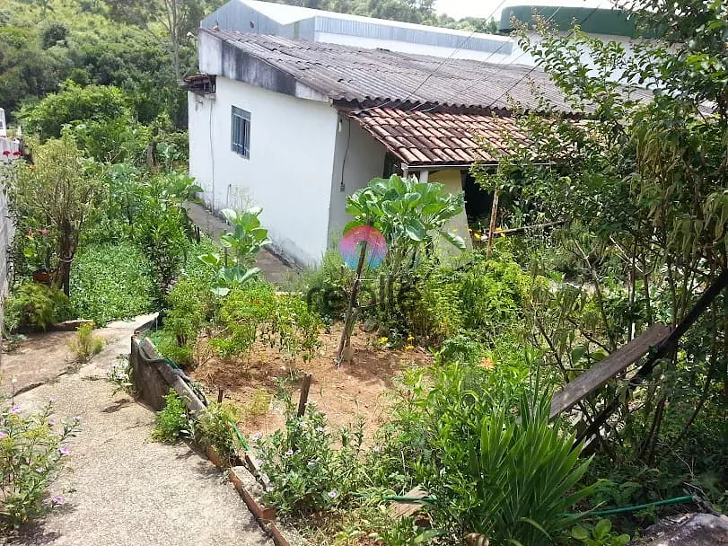 Chácara, 3 quartos, 2033 m² - Foto 6