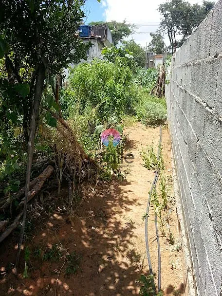 Chácara, 3 quartos, 2033 m² - Foto 11