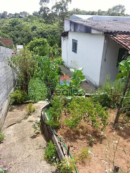 Chácara, 3 quartos, 2033 m² - Foto 7
