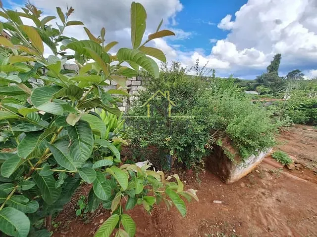 Chácara com 1650m² 1 quarto e 2 banheiros, à venda, no bairro Tomateiros em Guaxupé