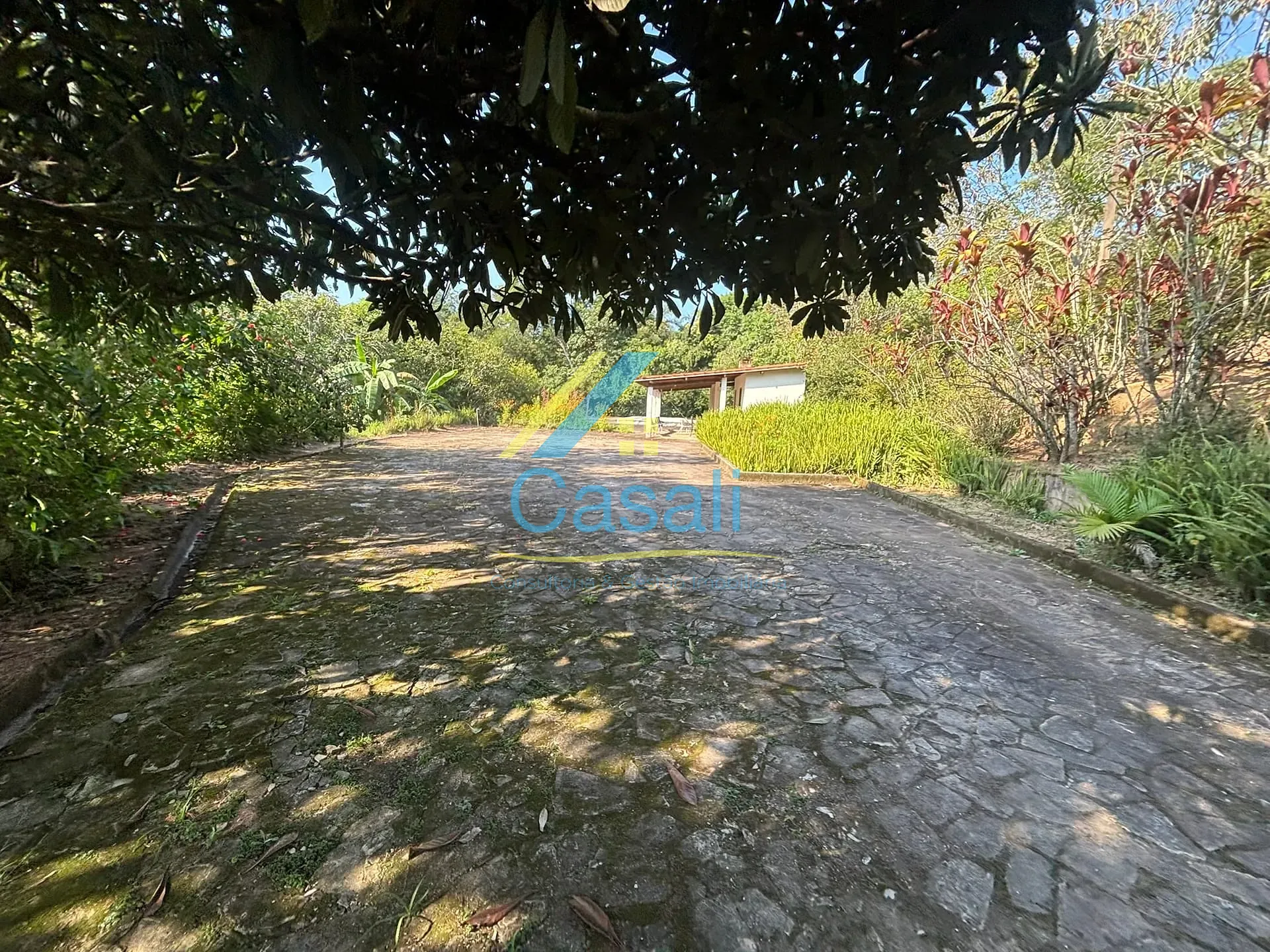 Sítio, 4 quartos, 10000 m² - Foto 26