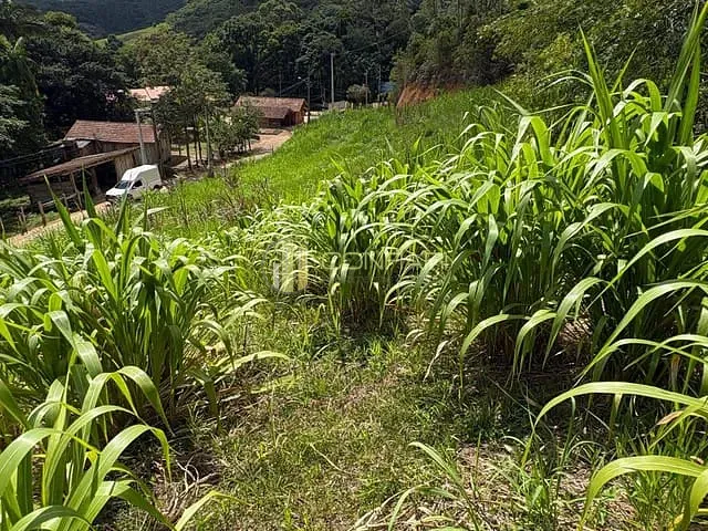 Chácara com 3600m², à venda, no bairro Área Rural em São João Batista