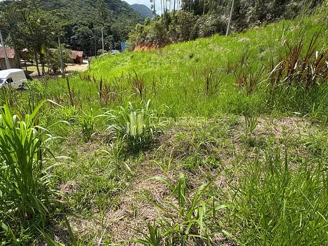Chácara com 3600m², à venda, no bairro Área Rural em São João Batista