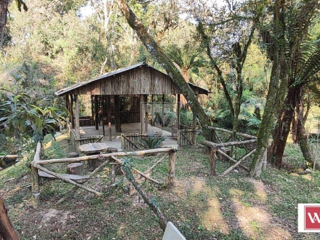 Chácara com 13000m² 3 quartos e 4 banheiros, à venda, no bairro Chapada em Ponta Grossa