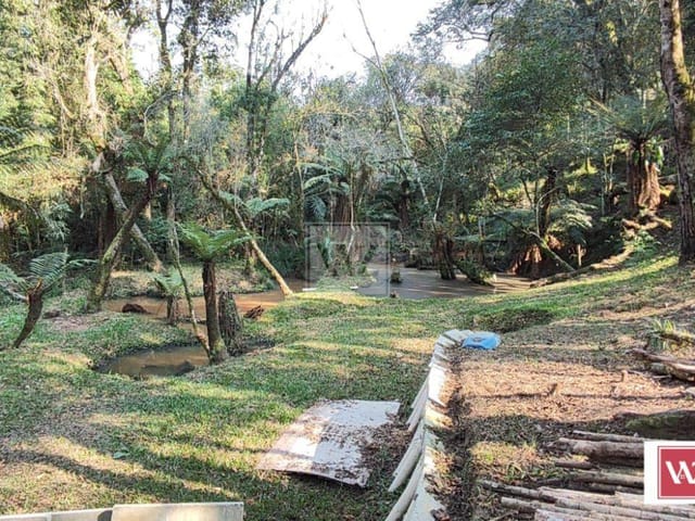 Chácara com 13000m² 3 quartos e 4 banheiros, à venda, no bairro Chapada em Ponta Grossa