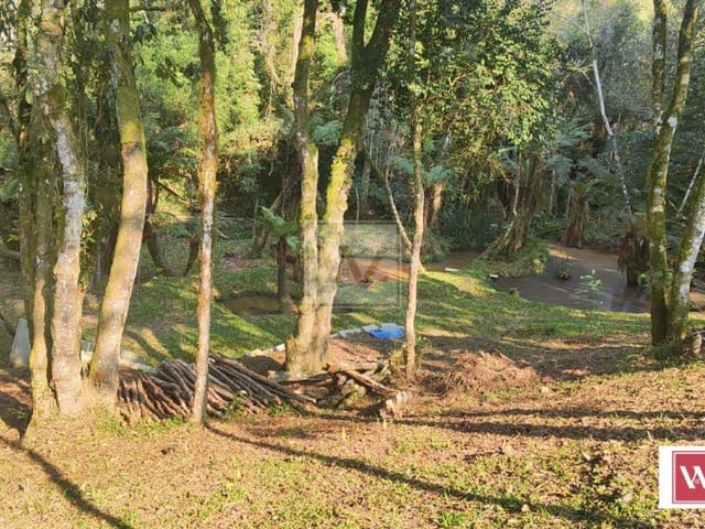 Chácara com 13000m² 3 quartos e 4 banheiros, à venda, no bairro Chapada em Ponta Grossa