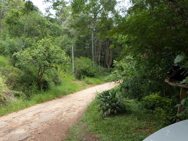 Foto do Chácara - Chácara residencial à venda, Vila São Bento, São José dos Campos. | INDEPENDENCE NEGOCIOS IMOBILIARIOS LTDA