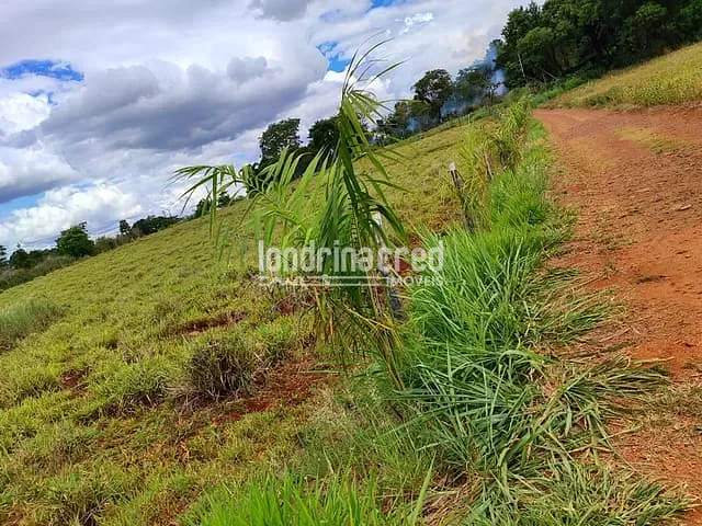 Chácara com 1500m², à venda, no bairro Zona Rural em Ibiporã