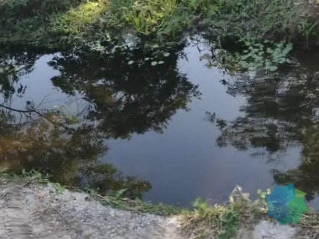 Chácara com 1000m² 1 quarto e 1 banheiro, à venda, no bairro Jardim Buru em Salto