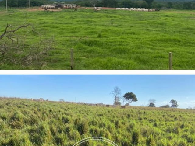 Foto do Fazenda - Fazenda à venda, 2535 hectares, Zona Rural, Guiratinga - MT | RM NEGÓCIOS IMOBILIÁRIOS
