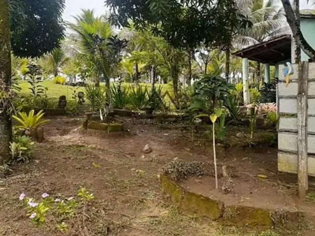 Chácara com 40000m², à venda, no bairro Zona Rural em Ilhéus