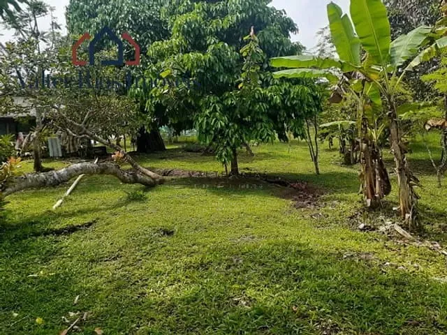 Chácara com 40000m², à venda, no bairro Zona Rural em Ilhéus