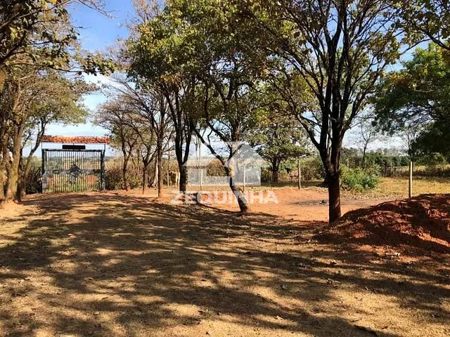 Chácara com 5500m² 3 quartos e 2 banheiros, à venda, no bairro Centro em Junqueiropolis