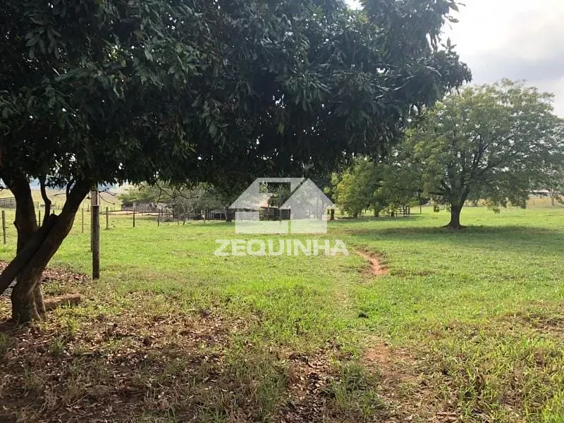 Sítio, 3 quartos, 5500 m² - Foto 11