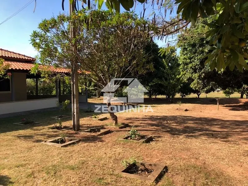 Sítio, 3 quartos, 5500 m² - Foto 3