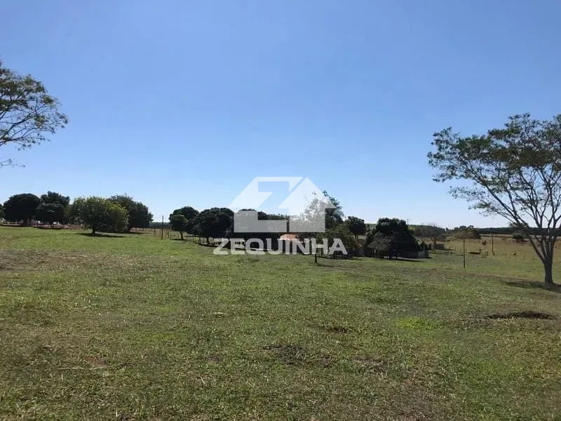 Sítio, 3 quartos, 5500 m² - Foto 9