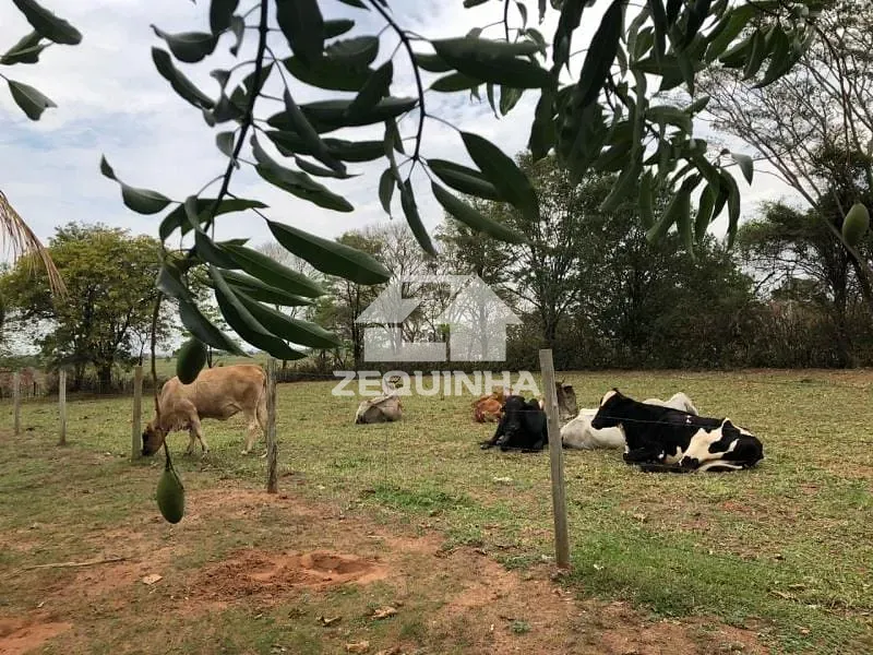 Sítio, 3 quartos, 5500 m² - Foto 12